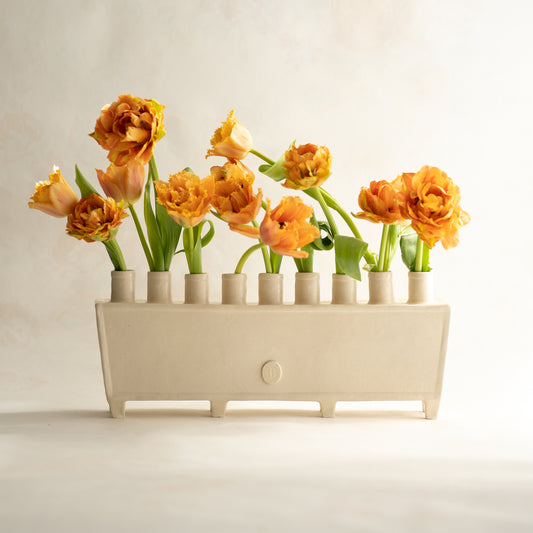 cara bauermeister ceramics perennial collection chalk tulipiere