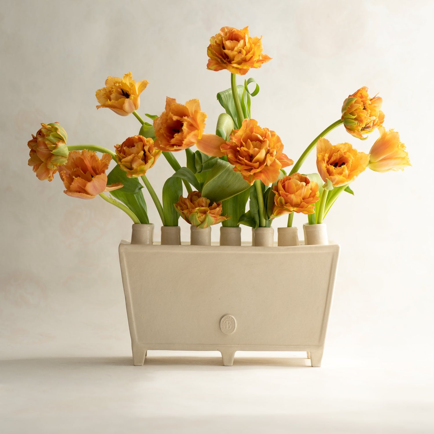 THE PERENNIAL COLLECTION